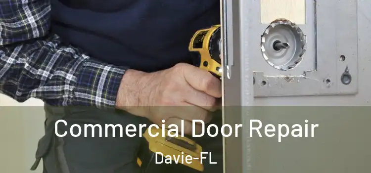  Commercial Door Repair Davie-FL