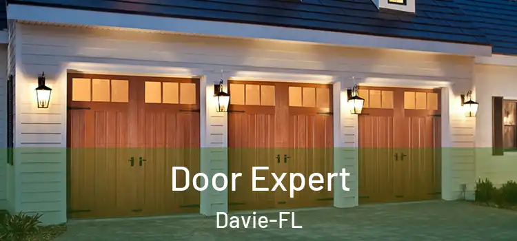  Door Expert Davie-FL