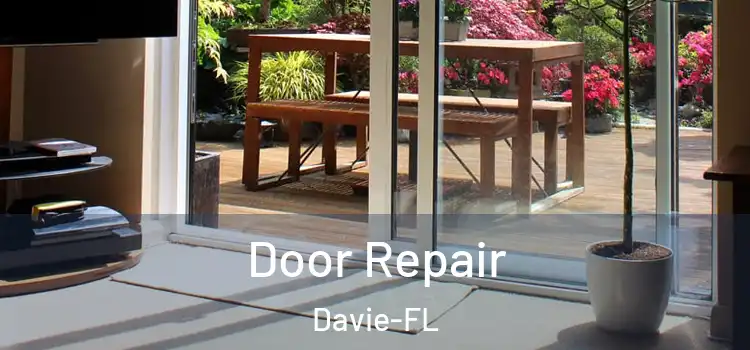  Door Repair Davie-FL