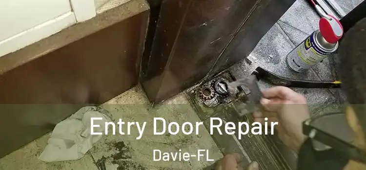  Entry Door Repair Davie-FL