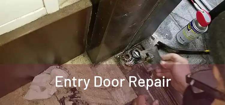 Entry Door Repair
