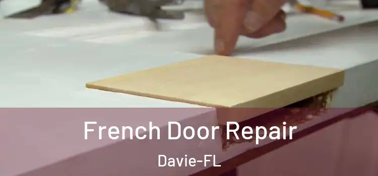  French Door Repair Davie-FL