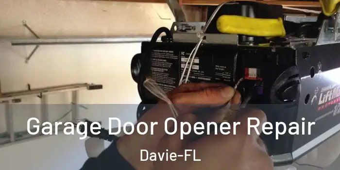  Garage Door Opener Repair Davie-FL