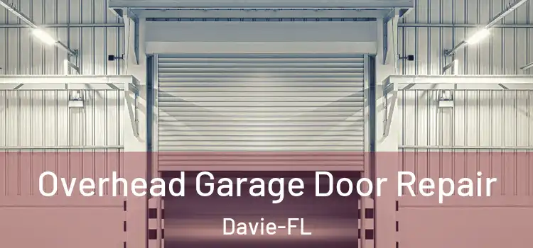  Overhead Garage Door Repair Davie-FL