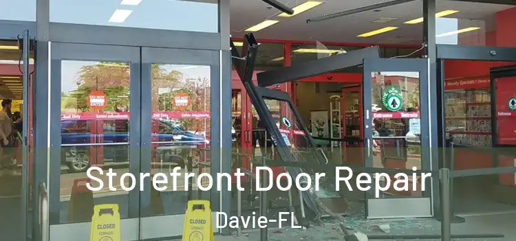  Storefront Door Repair Davie-FL